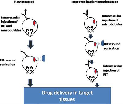 Radioimmunotherapy Combined With Low-Intensity Ultrasound and Microbubbles: A Potential Novel Strategy for Treatment of Solid Tumors